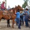 Surrounded by family and friends, Kristin Good hugs her late husband Casey Good’s horse after a moment honoring Casey at the start of the Days of ’49 Rodeo last Friday evening at the Greybull Rodeo Grounds. Lisa Kunkel